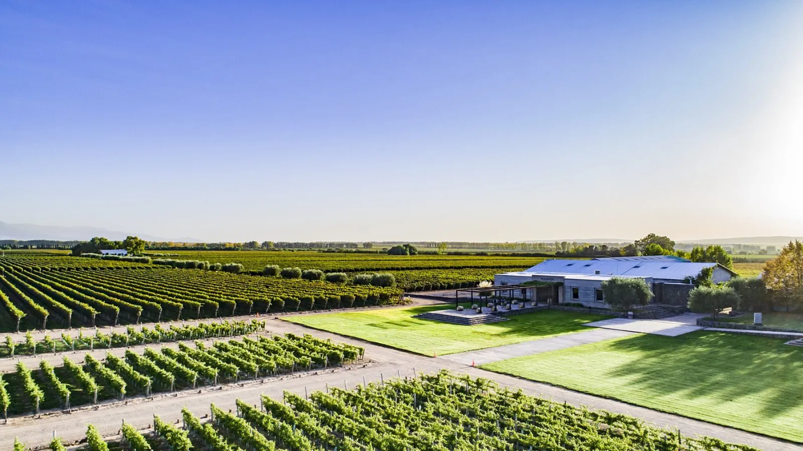 Pulenta Estate — Peter Wine Tours