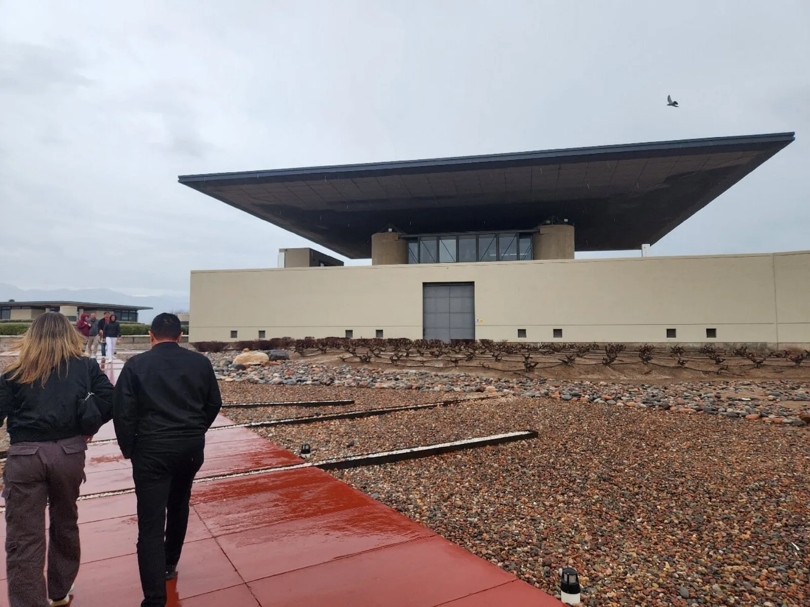 Alfa Crux — Peter Wine Tours