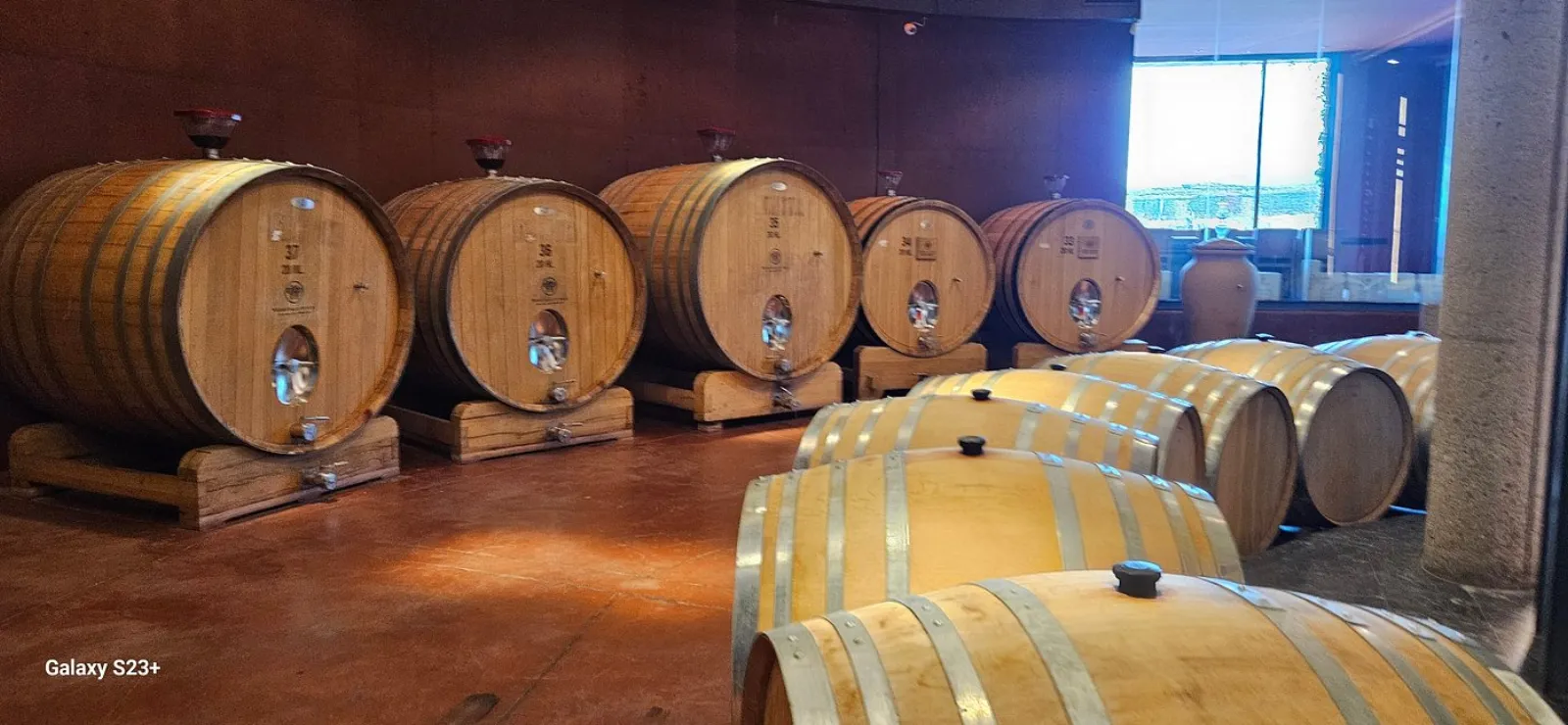 Huentala Wines — Peter Wine Tours