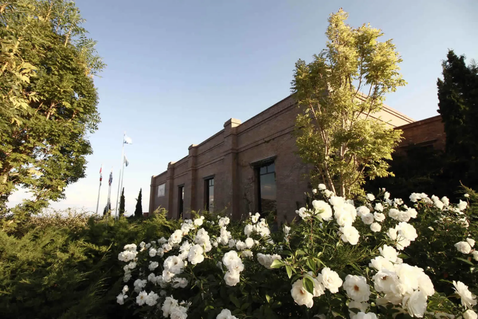 Andeluna Cellars — Peter Wine Tours