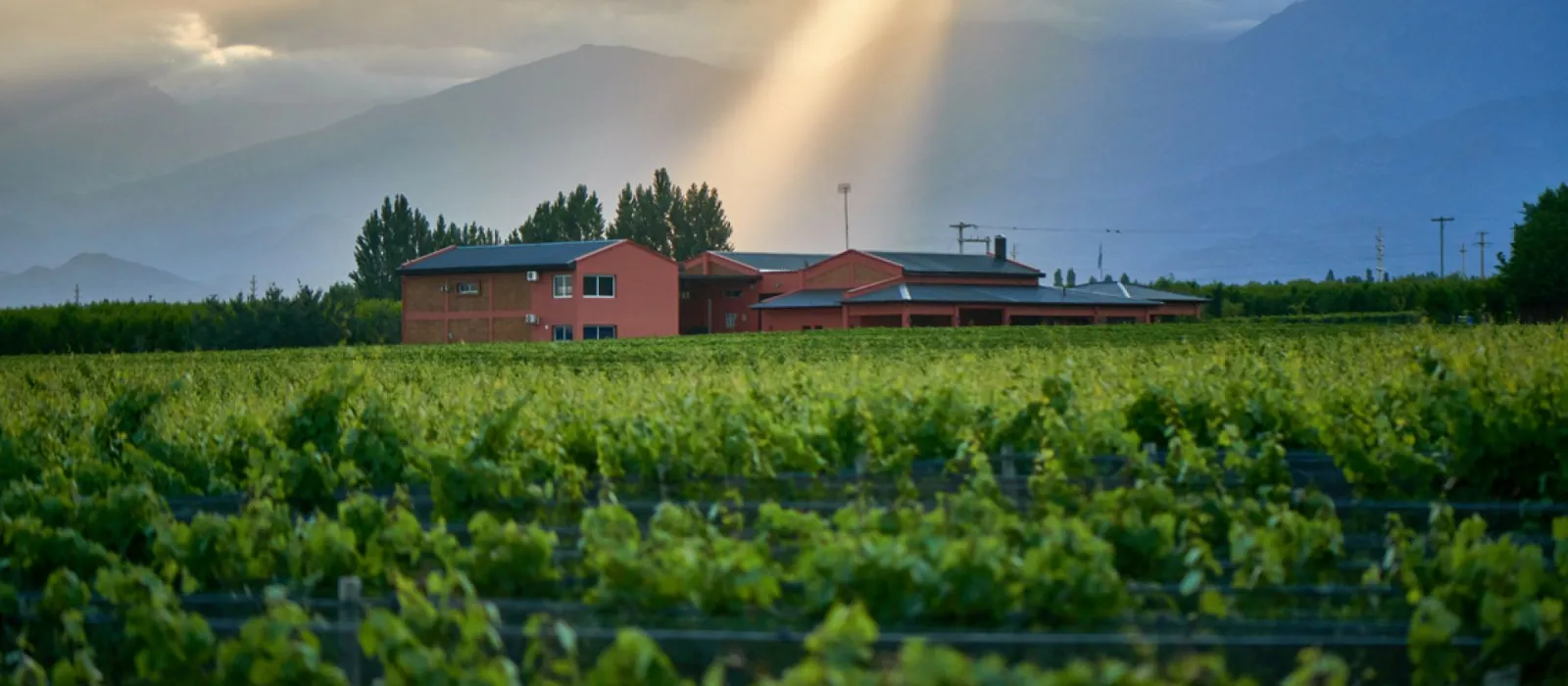 Finca Adelma