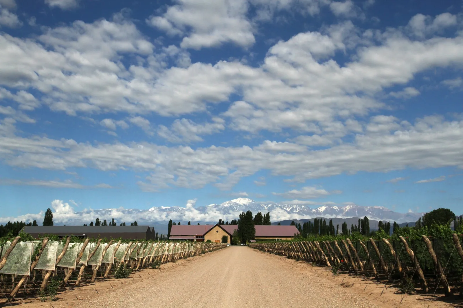 Susana Balbo Wines — Peter Wine Tours