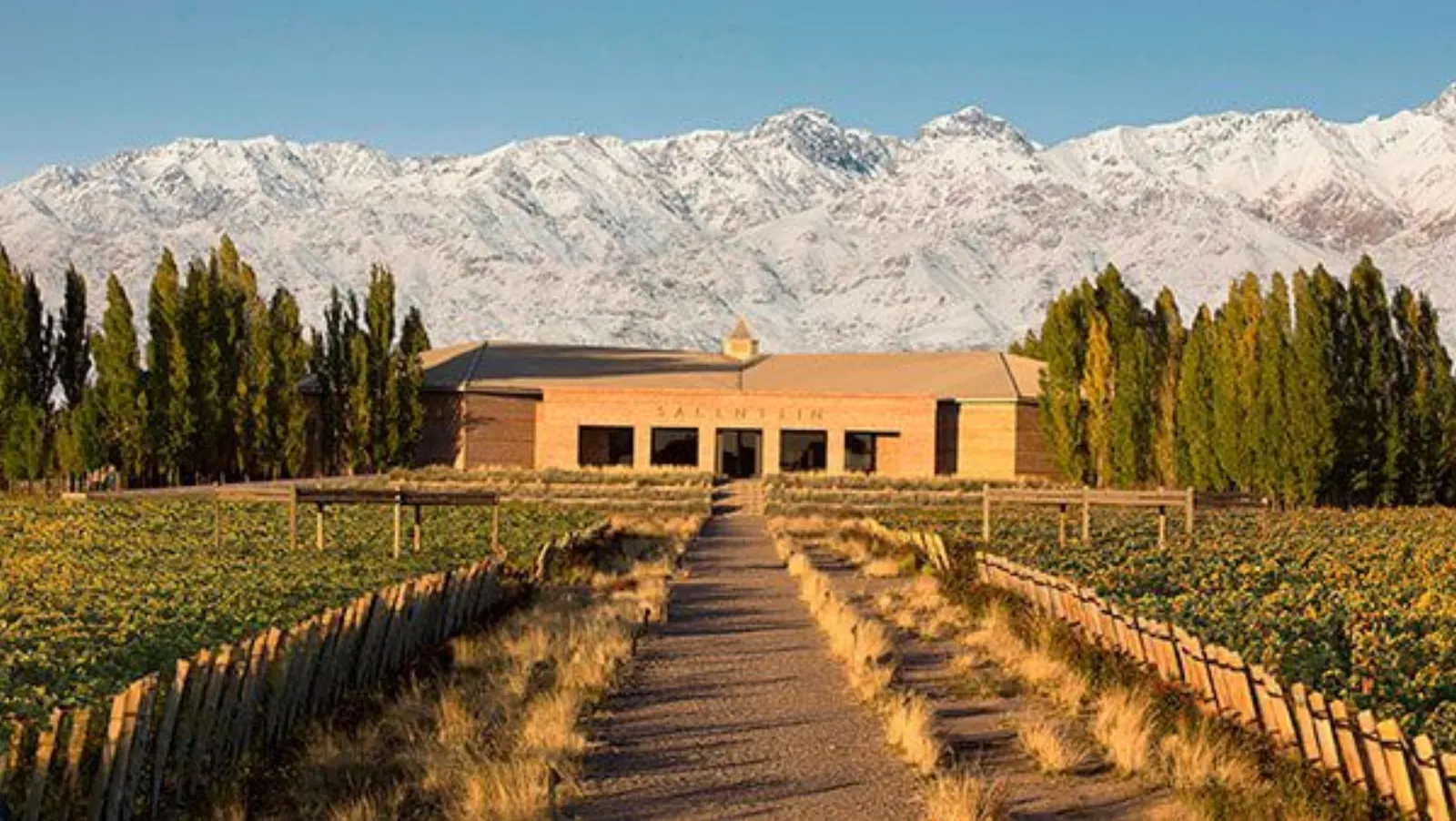 Bodegas Salentein