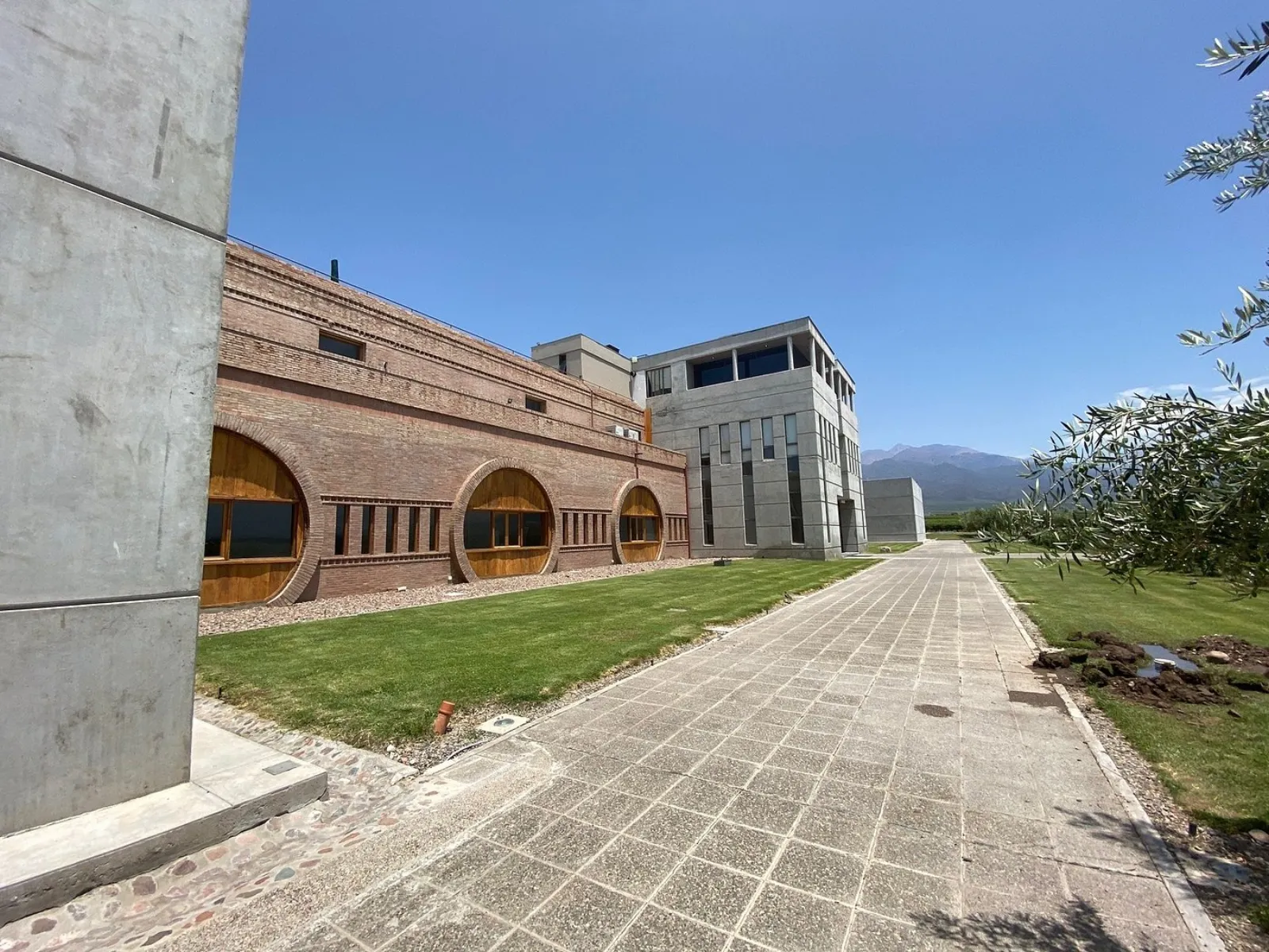 Monteviejo — Peter Wine Tours