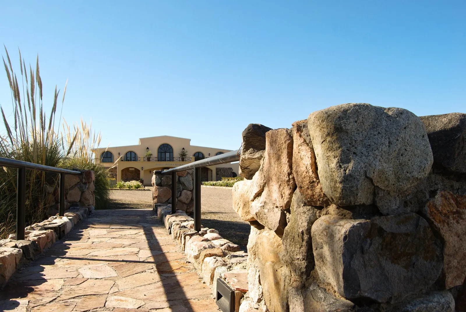 Piedra Negra — Peter Wine Tours