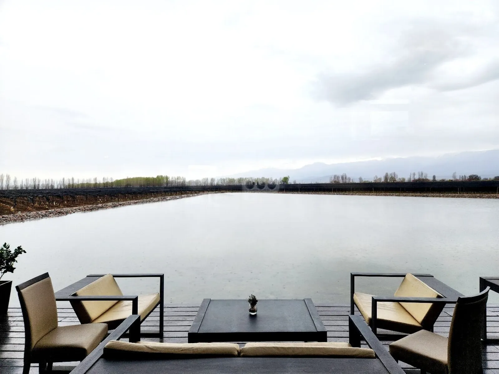 Alfa Crux — Peter Wine Tours