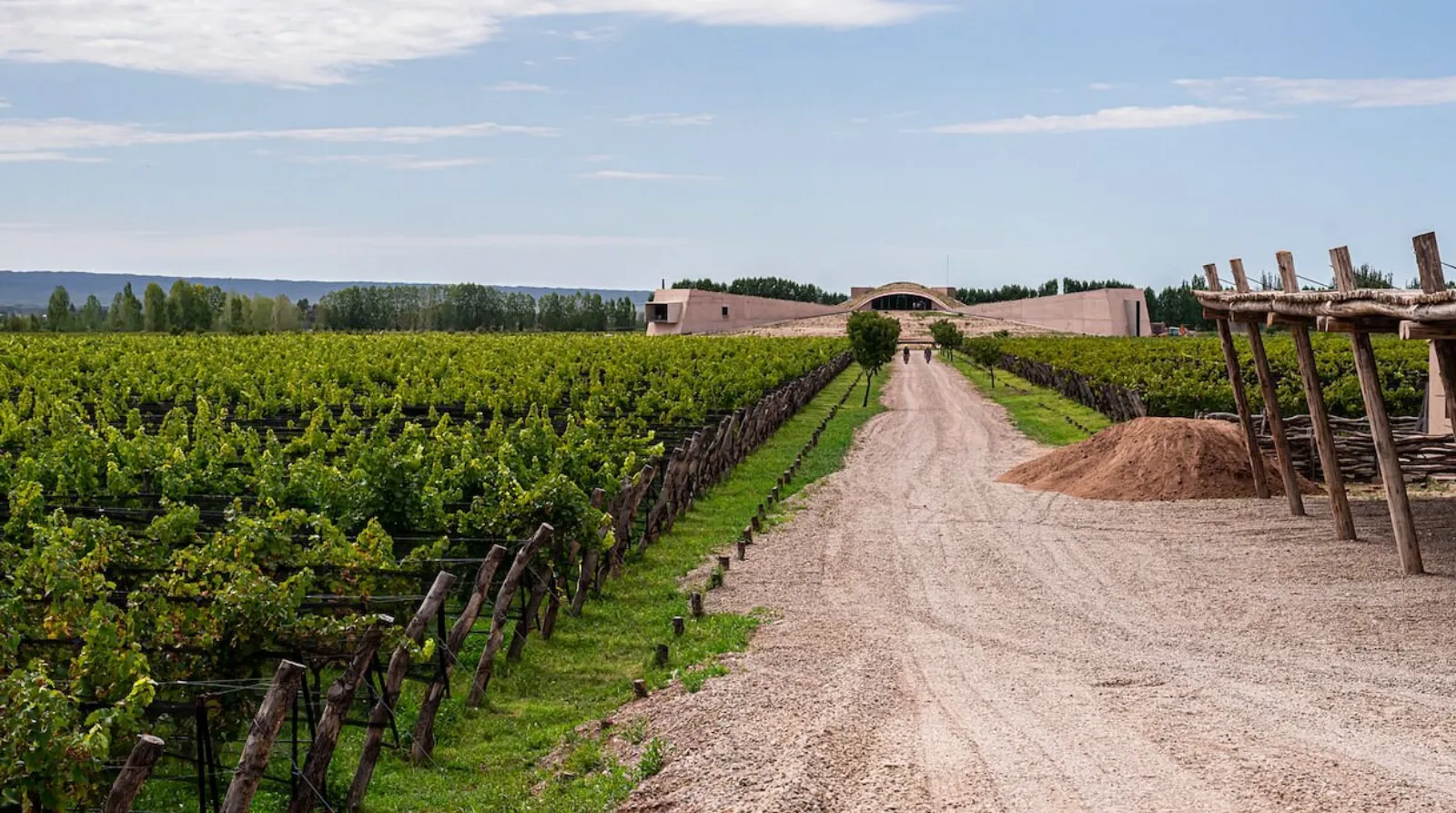 Alpamanta — Peter Wine Tours
