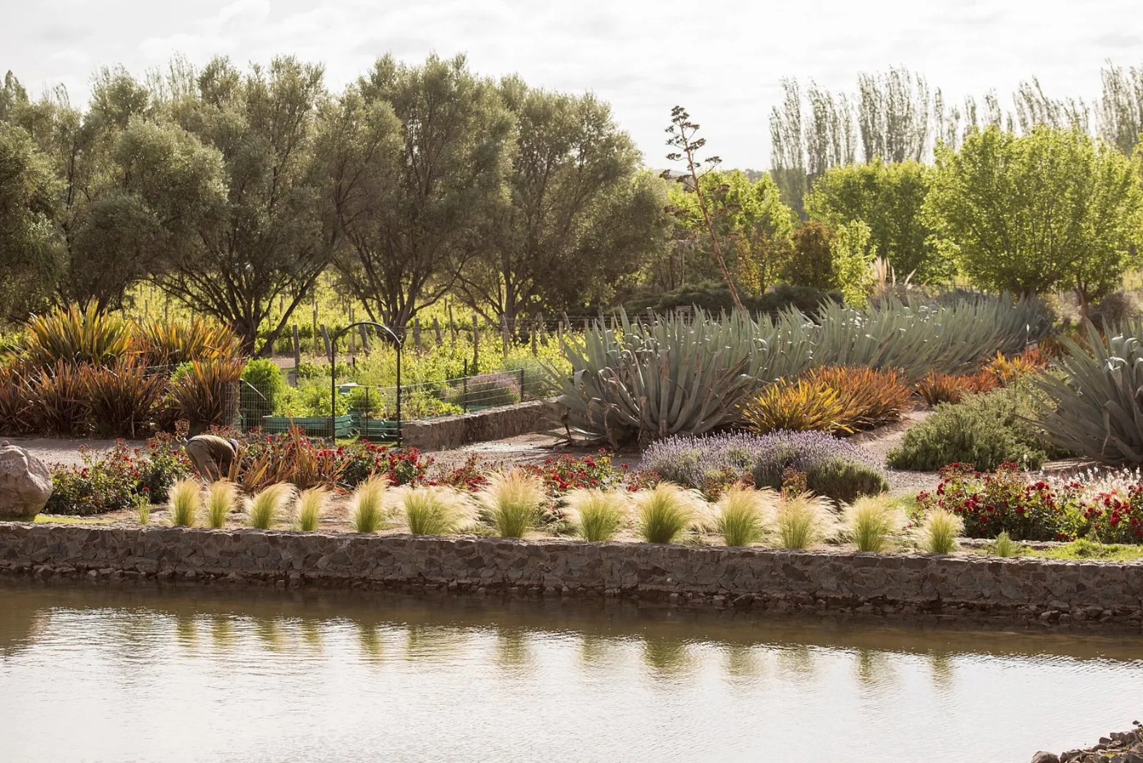 Quimera — Peter Wine Tours