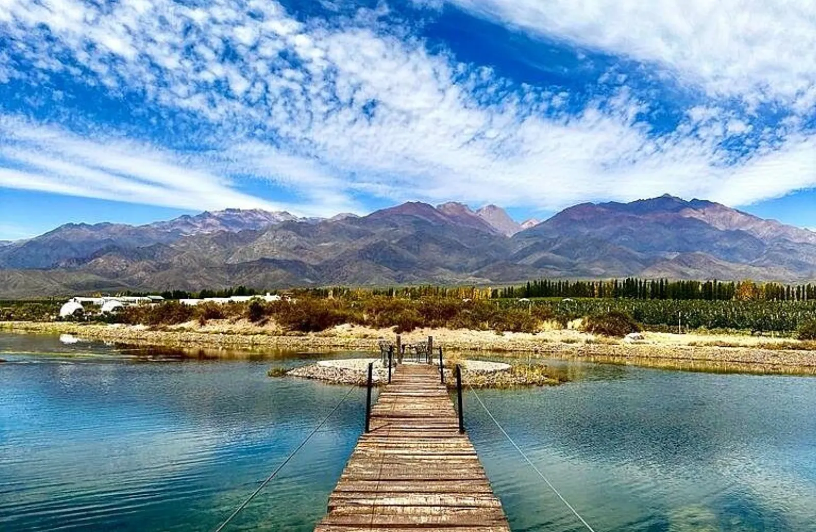 Alpasión — Peter Wine Tours