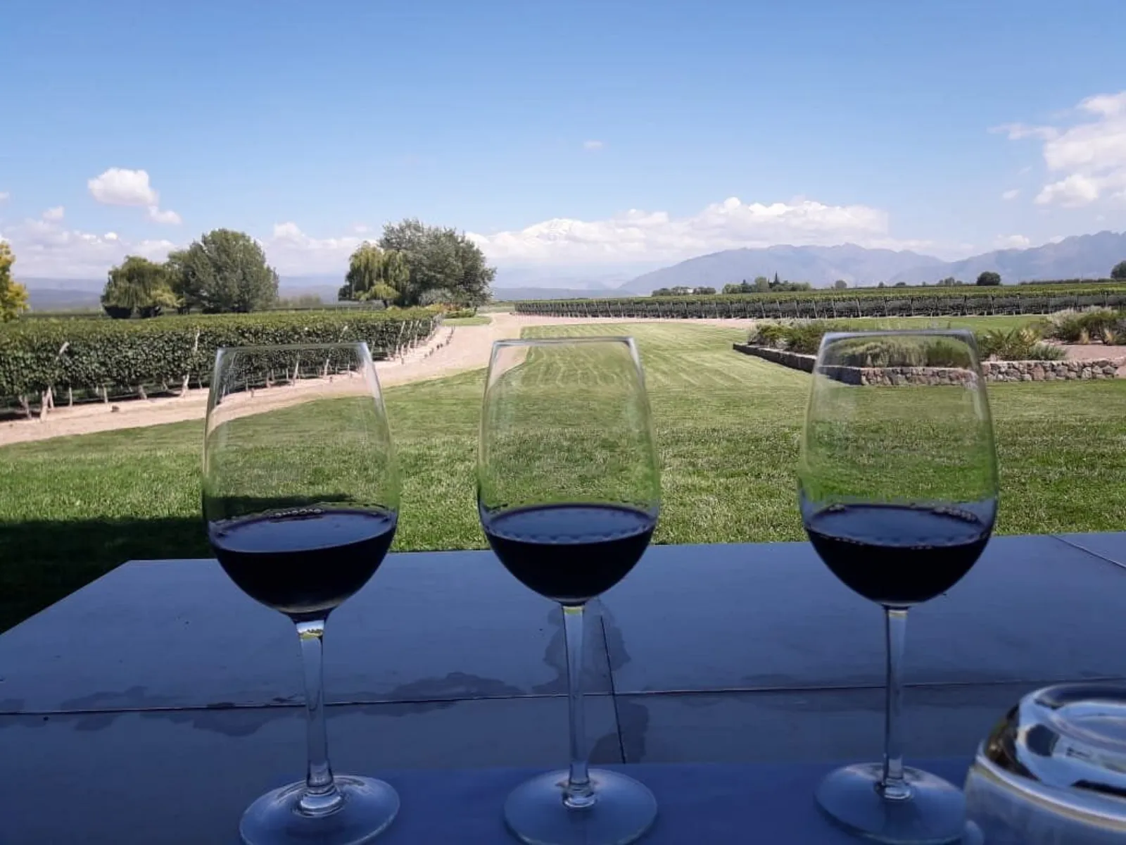 Finca Decero — Peter Wine Tours