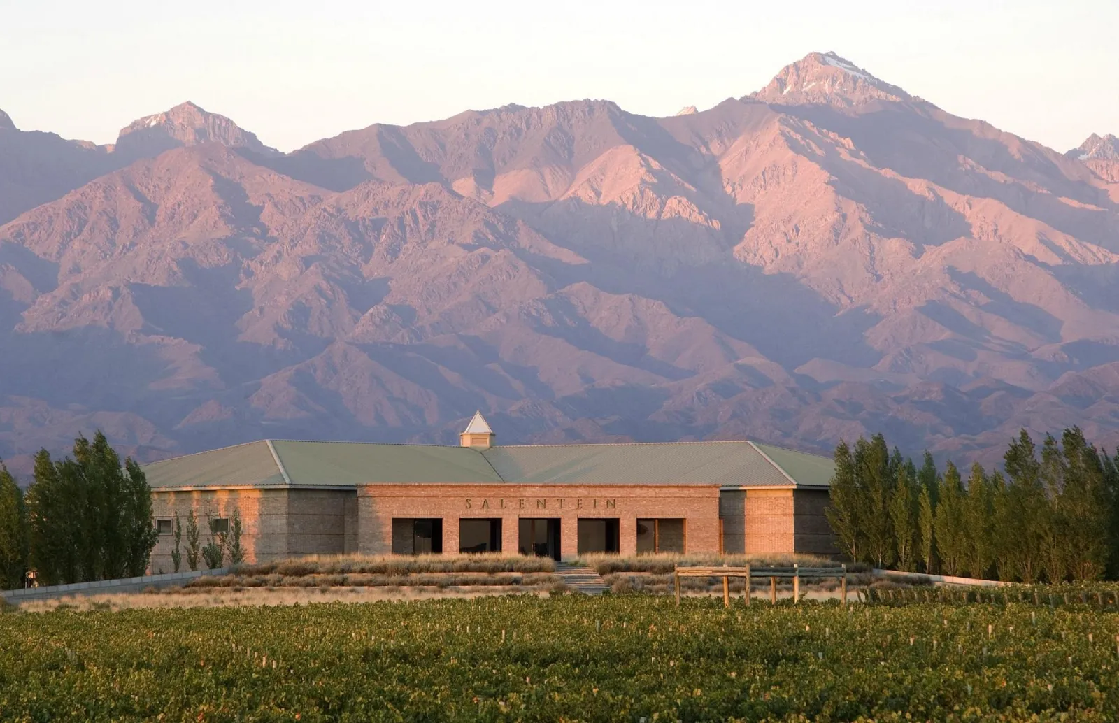 Bodegas Salentein — Peter Wine Tours
