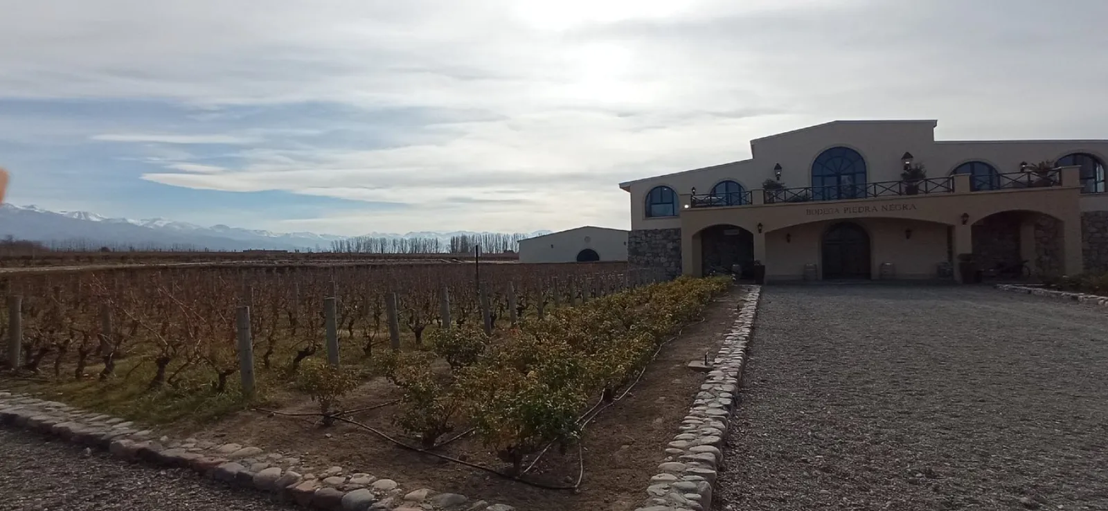 Piedra Negra — Peter Wine Tours