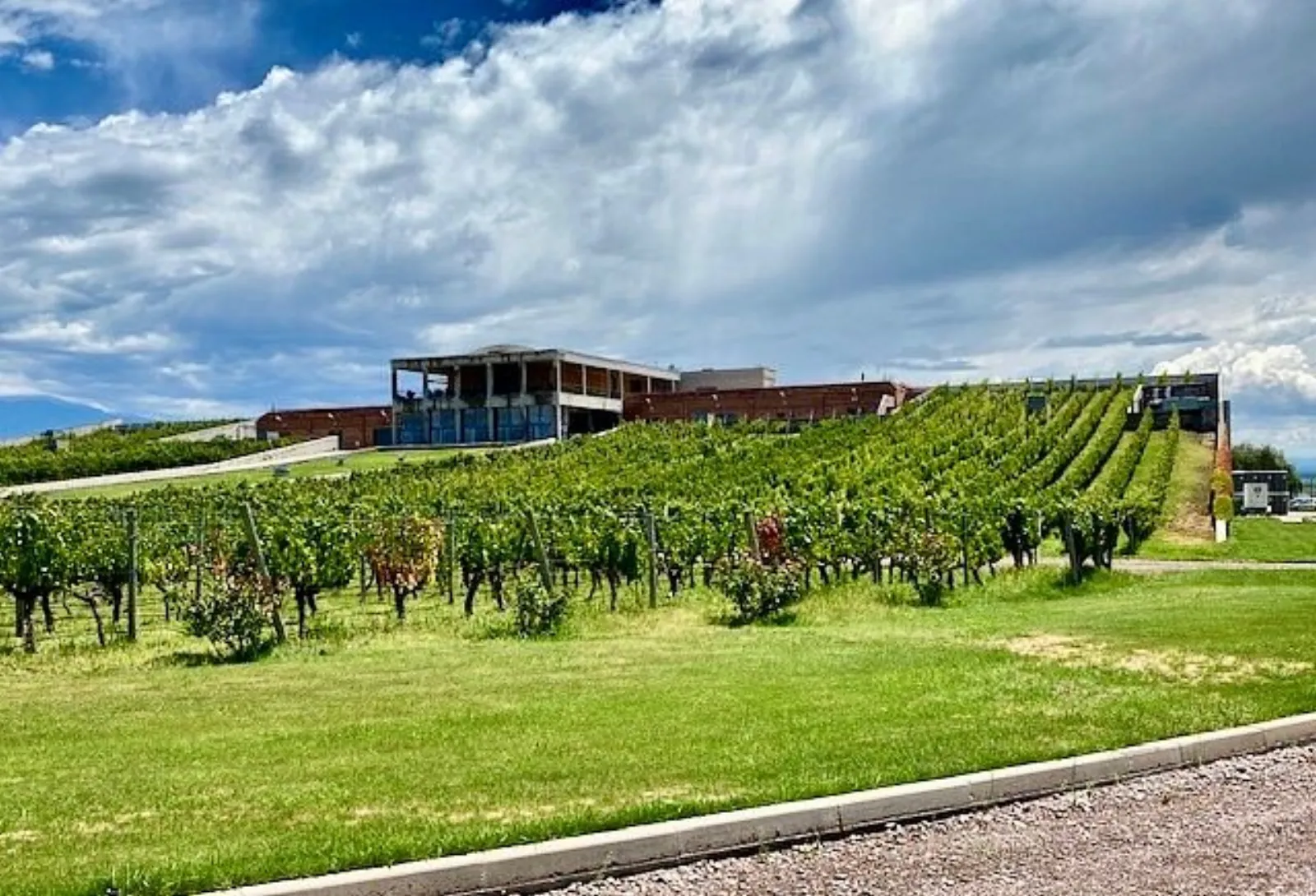 Monteviejo — Peter Wine Tours