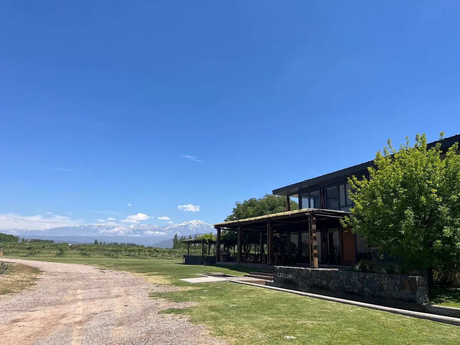 Caelum — Peter Wine Tours