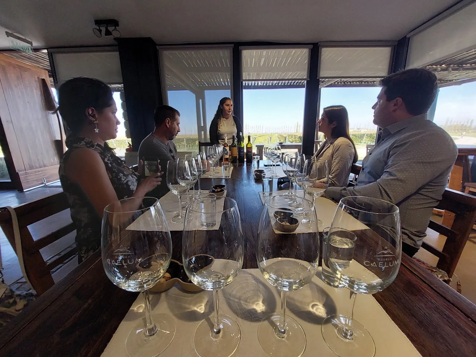 Cata frente al ventanal, con el viñedo enfrente