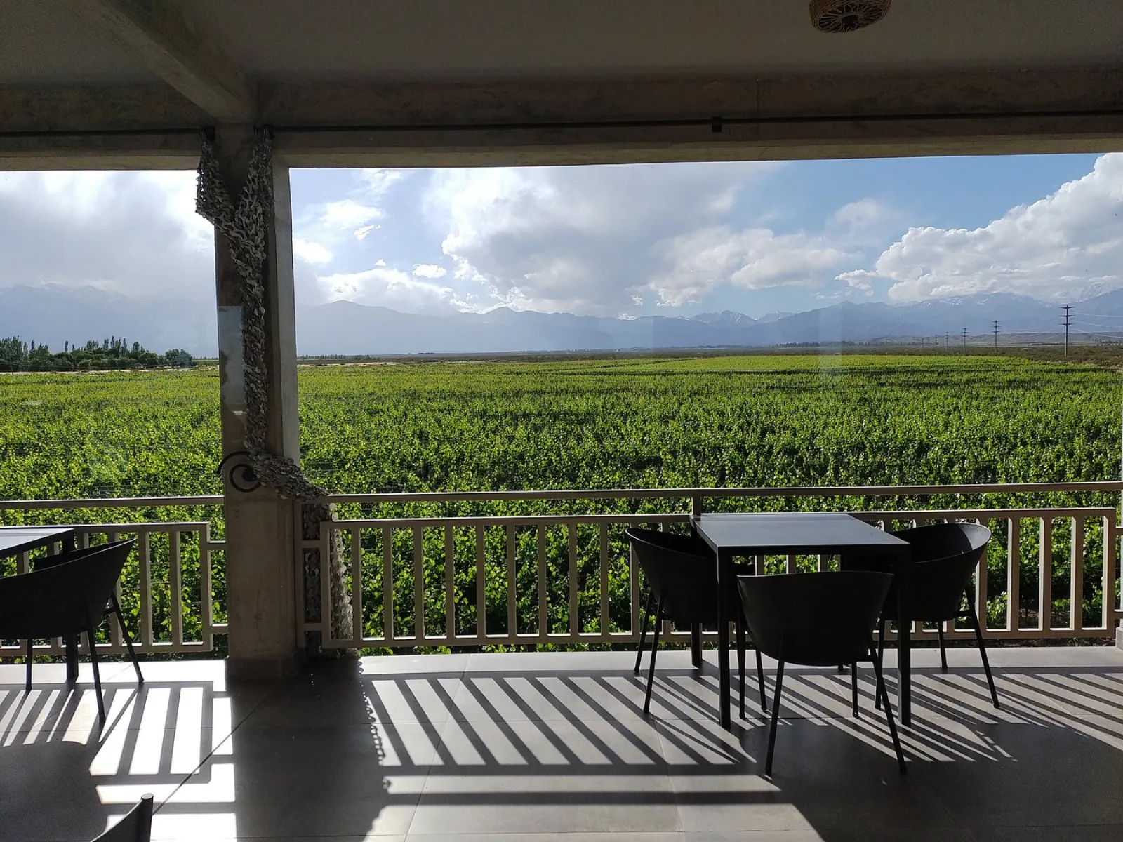 Domaine Bousquet — Peter Wine Tours