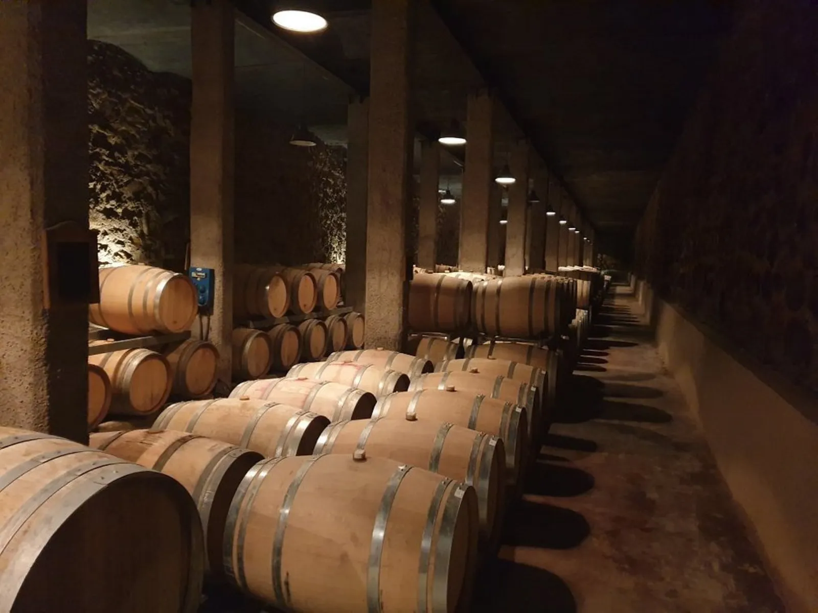 Bodega Benegas — Peter Wine Tours