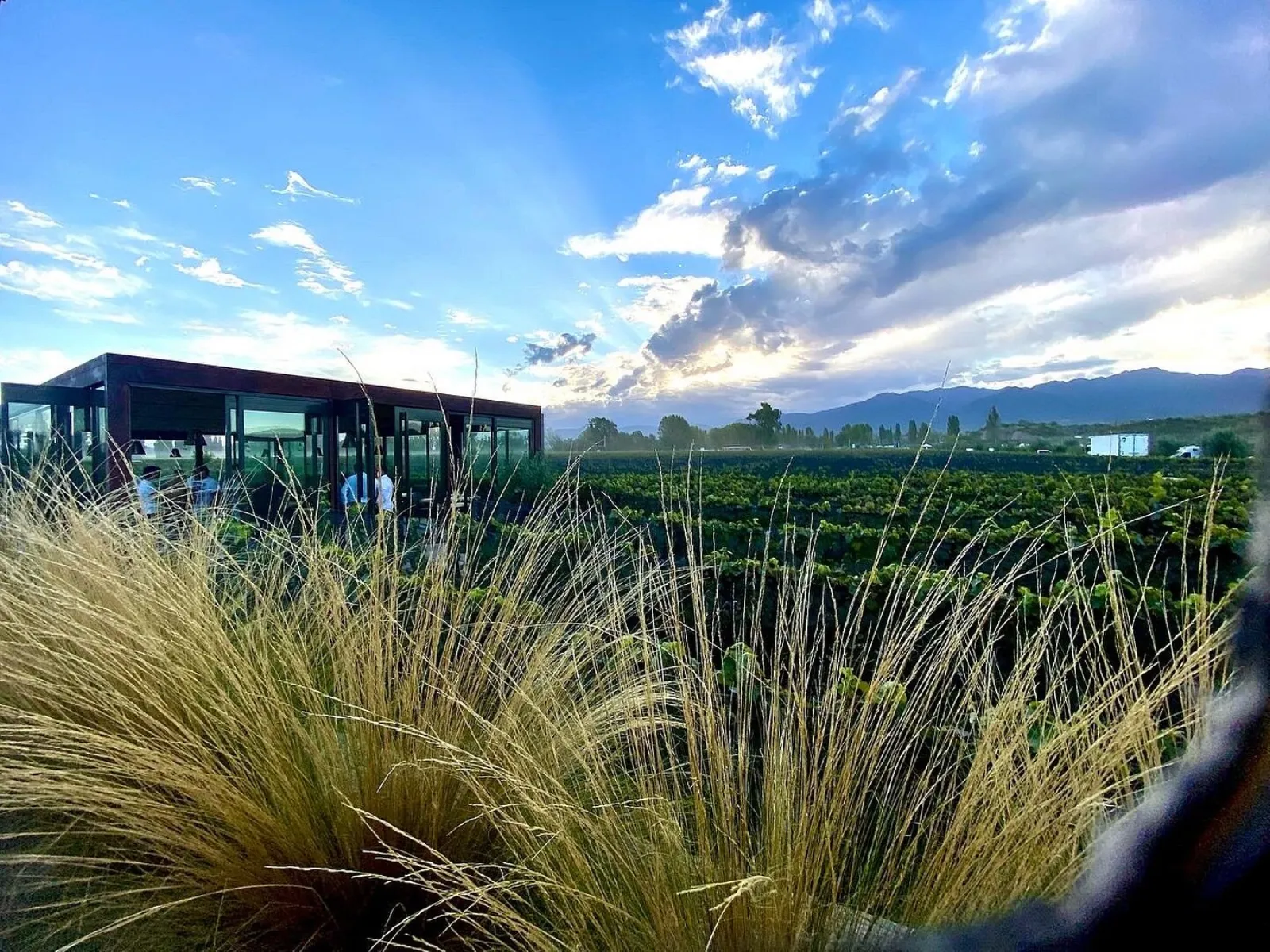 Durigutti Family Winemakers — Peter Wine Tours