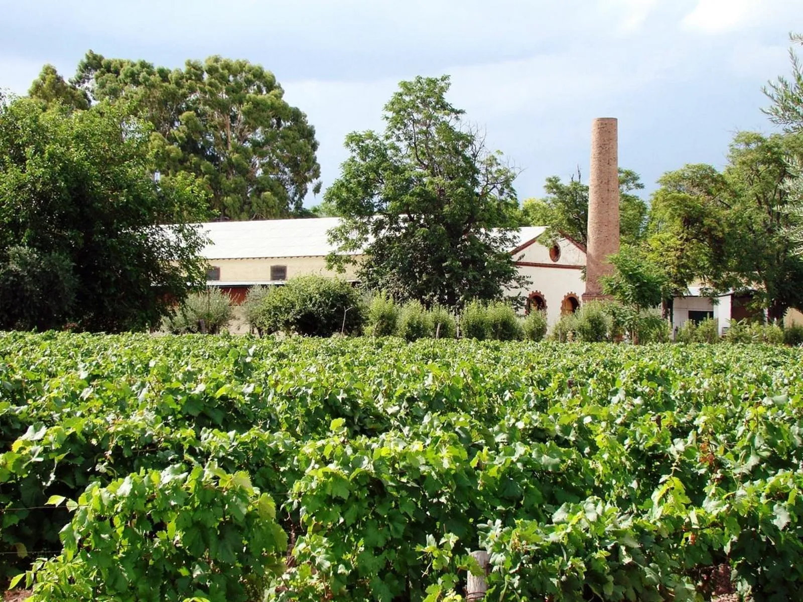 Lagarde — Peter Wine Tours