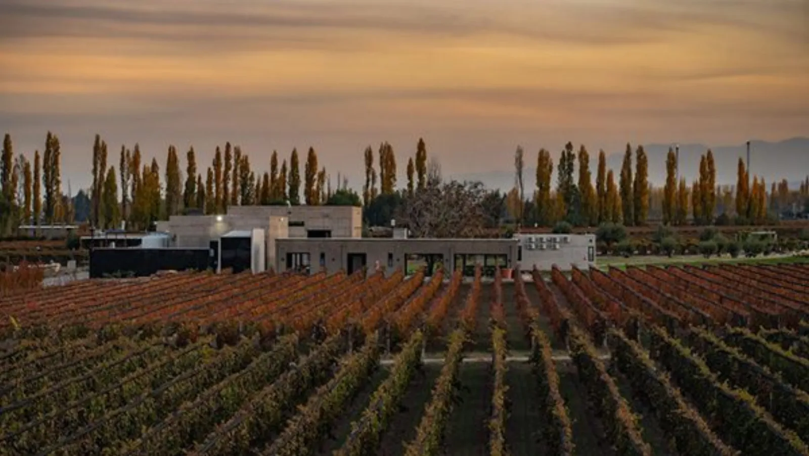 Durigutti Family Winemakers