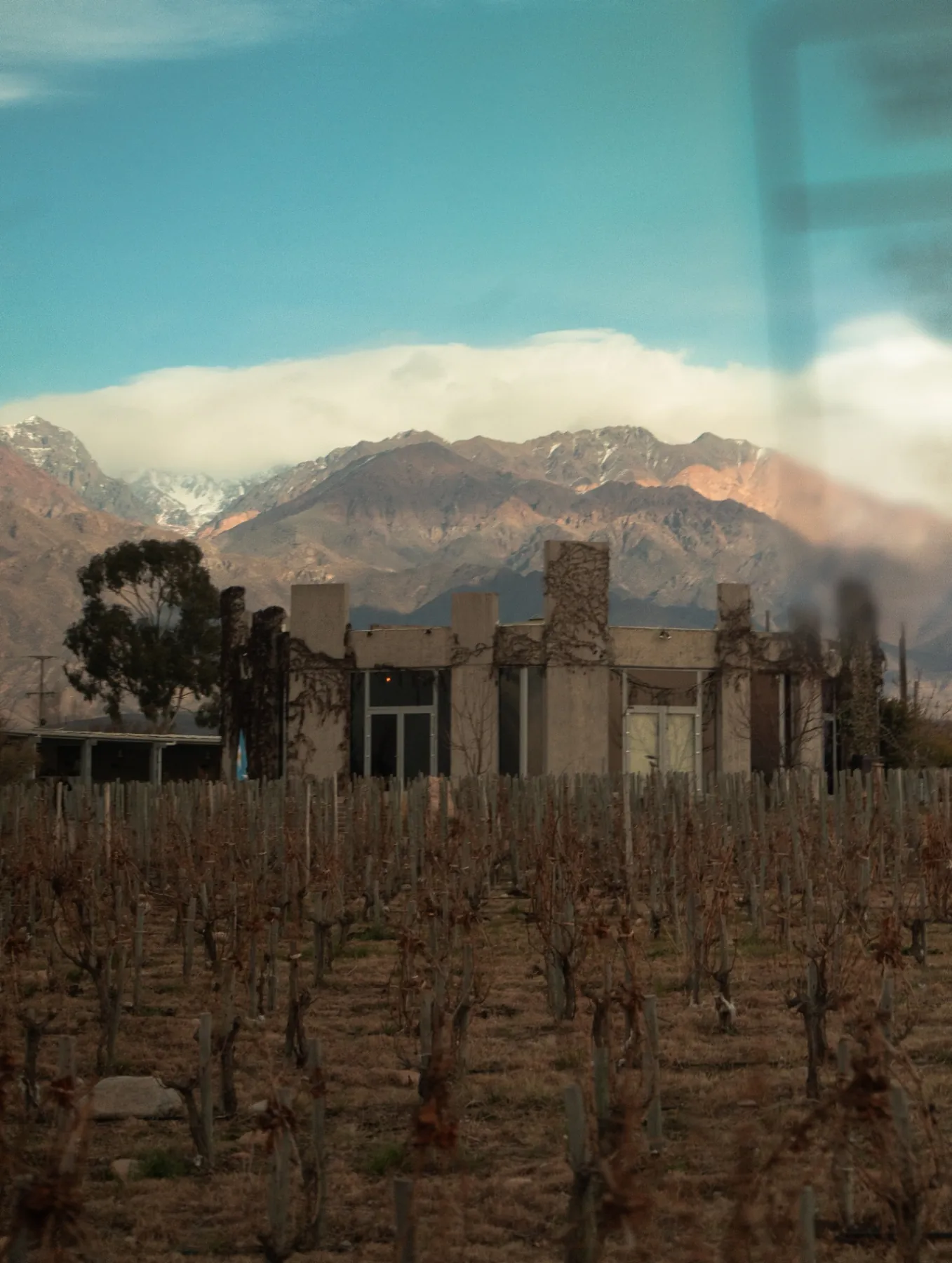 SuperUco — arquitectura y montañas