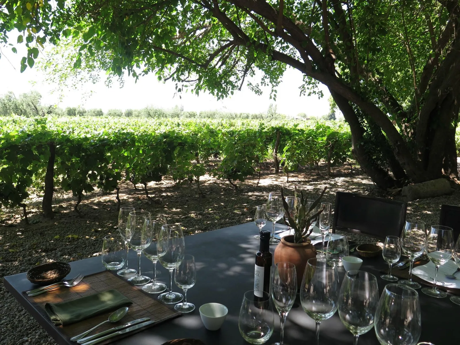 Lagarde — Peter Wine Tours