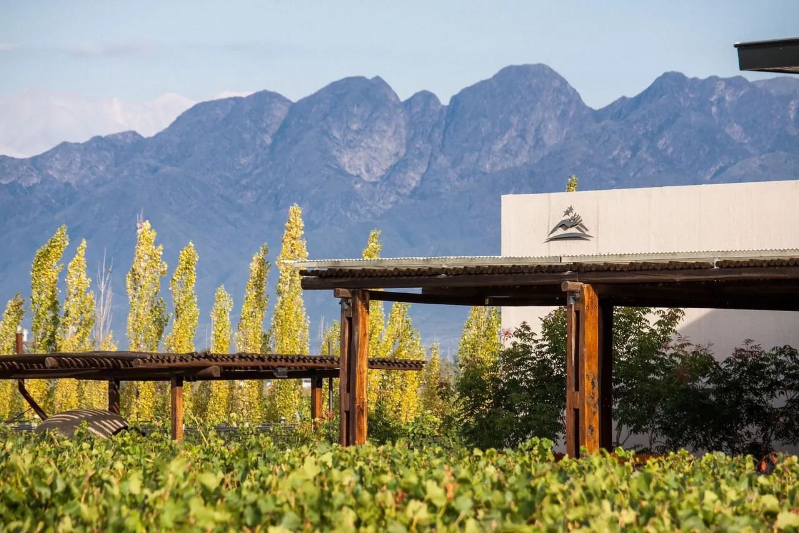 Caelum — Peter Wine Tours
