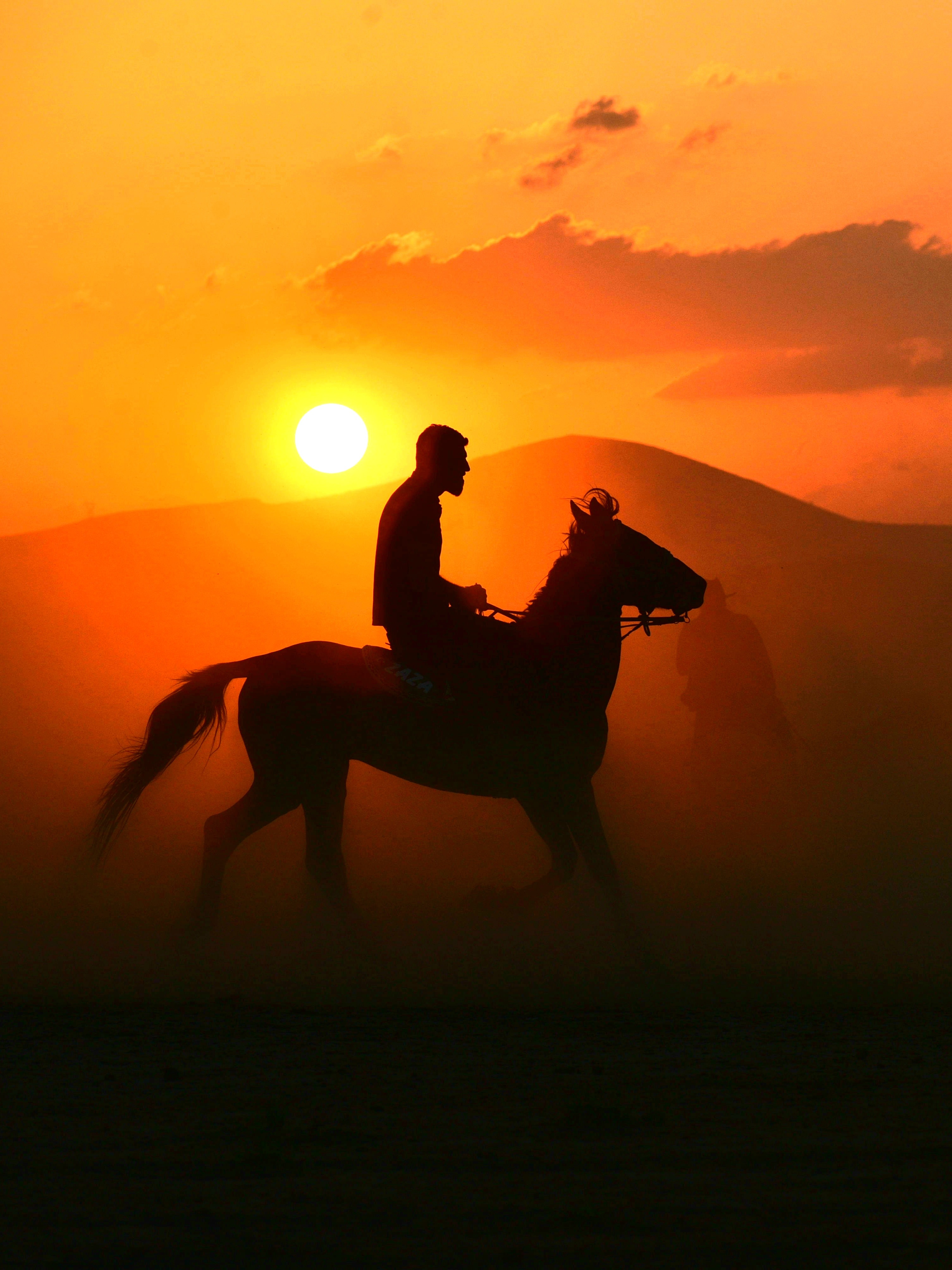 Wine & Horses